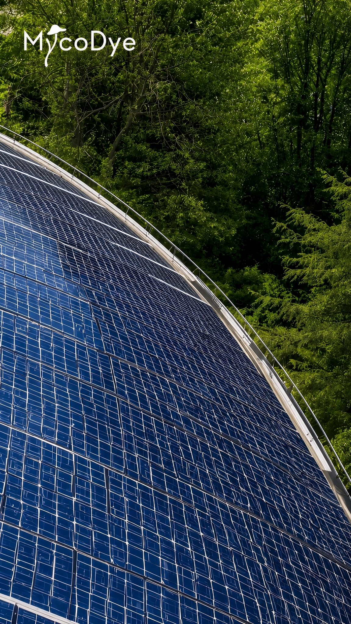 Solar panels in a forest environment